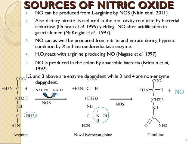Food Nitric In Sources Oxide Of Food Nitric In Sources Oxide Of